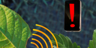 當(dāng)植物受到壓力時(shí) 納米傳感器可以提醒智能手機(jī)
