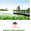 洪泗縣穆墩島景區(qū)按AAAA級旅游風景區(qū)標準規(guī)劃設計