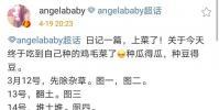 Angelababy分享自己與種菜的經(jīng)歷