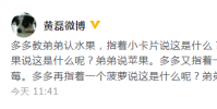 黃磊在微博發(fā)文分享多多教弟弟認(rèn)水果的趣事