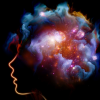 腦科學(xué)教我們解決沖突的方法