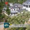 宿遷市雙蕩村曾是省定經(jīng)濟(jì)薄弱村 近年來成功蛻變?yōu)檫h(yuǎn)近聞名的富強(qiáng)村