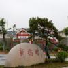 走進(jìn)江蘇宿遷沭陽(yáng)縣房前屋后迎風(fēng)斗艷花草令人賞心悅目
