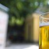 生活小知識(shí)：啤酒有哪些種類(lèi)呢？