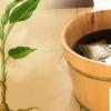 生活小知識(shí)：睡不好覺如何調(diào)節(jié)？
