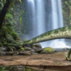 生活小知識(shí)：為什么要研究古生物？