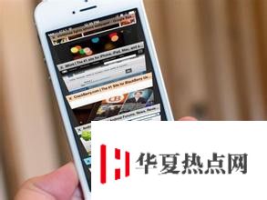 如何清楚Safari占用的大量儲存空間