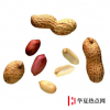 生活小知識：麻屋子紅帳子白胖子分別指什么？