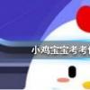 今天螞蟻莊園問題：大雁飛行時為什么要排隊