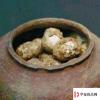生活小知識(shí)：春秋戰(zhàn)國(guó)時(shí)期，我們能吃到什么？
