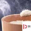 生活小知識：怎樣更好的使用電飯煲。