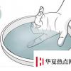 生活小知識：強力膠水粘在手上了該怎么辦？