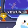 螞蟻莊園問題答案：面膜需要天天敷嗎