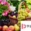 生活小知識：兩種安全簡單催熟水果的好辦法