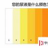 生活小知識：尿液的顏色是否正常，圖解說明養(yǎng)傷