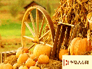 生活小知識(shí)：大雪節(jié)氣補(bǔ)腎提防5大誤區(qū) 養(yǎng)腎吃什么好？