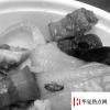 生活小知識：在外面餐館吃到蟑螂等臟異物或者變質(zhì)菜如何維權(quán)