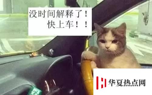 網(wǎng)絡(luò)語開車是什么意思