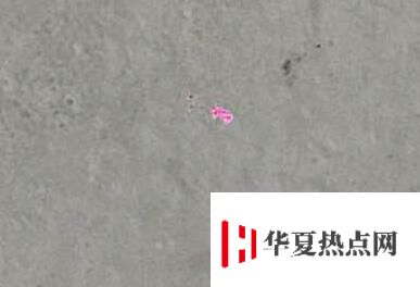 iPhone 拍照出現(xiàn)小紅點(diǎn)是什么情況？