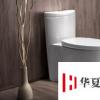 生活小知識(shí)：馬桶被衛(wèi)生紙堵住了怎么辦?