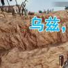 生活小知識：烏茲永遠的神是什么梗？