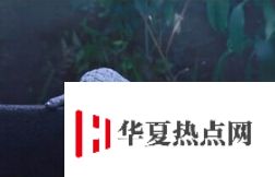 世界上最恐怖的地方