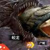 生活小知識：菜虛鯤是什么梗？