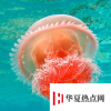 生活小知識：什么是次聲波?