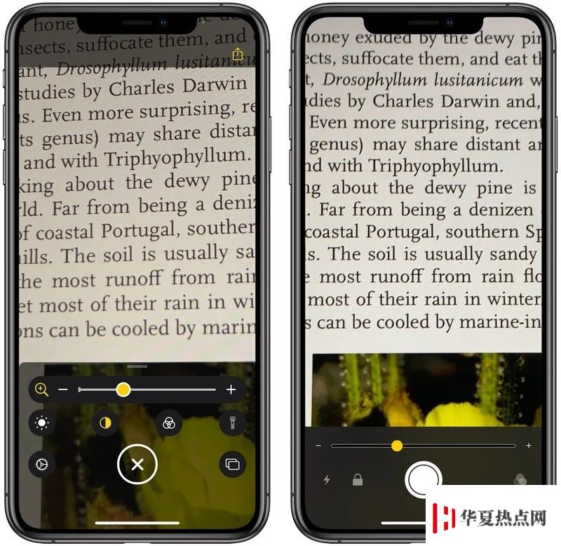 iOS 14 “放大器”功能全面改進：支持添加到主屏幕