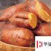 生活小知識：適合立冬吃的蔬菜11種最佳推薦