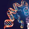 教育資訊：生物科學(xué)專業(yè)就業(yè)方向及就業(yè)前景分析