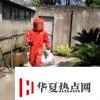 生活小知識：怎樣安全快捷消滅馬蜂窩