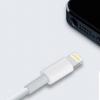 手機(jī)教程：iPhone快速充電小技巧