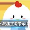 小雞寶寶知識問答：陽春白雪和下里巴人是指兩種人嗎