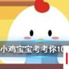 小雞寶寶知識(shí)問答：夏天的時(shí)候，鞋子經(jīng)常會(huì)散發(fā)出異味，可以如何去除