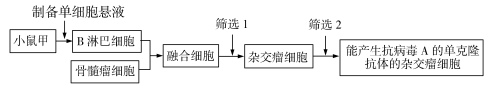 學(xué)科網(wǎng)(www.zxxk.com)--教育資源門戶，提供試題試卷、教案、課件、教學(xué)論文、素材等各類教學(xué)資源庫下載，還有大量豐富的教學(xué)資訊！