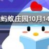 漂亮的金魚是由什么魚演變而來的 螞蟻莊園知識問答
