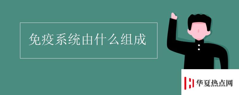 免疫系統(tǒng)由什么組成