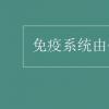 教育資訊：免疫系統(tǒng)由什么組成