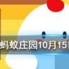 能喂給狗狗吃巧克力嗎 螞蟻莊園知識問答