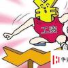 生活小知識：教師轉(zhuǎn)行的根本原因，教師轉(zhuǎn)行做什么好
