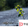 生活中的關(guān)鍵保護(hù)因素