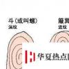生活小知識(shí)：你手上有多少個(gè)螺，決定你的性格！