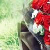 生活小知識：花店不開了花繼續(xù)開是什么意思？