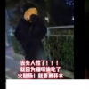 太原一男子當(dāng)街虐貓畫面曝光