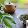 生活小知識(shí)：品春茶有什么講究