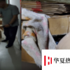 茅臺制假窩點用絲襪套漏斗過濾灌裝