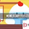 無公害蔬菜和綠色蔬菜哪個安全等級更高螞蟻莊園知識問答