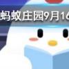 目前我國使用的結(jié)婚證上的花是什么花螞蟻莊園知識問答