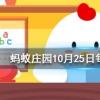 辟邪翁是人們經(jīng)常在重陽(yáng)節(jié)用到的一種植物的別名它是螞蟻莊園知識(shí)問答